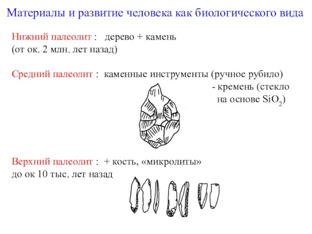 Материалы и развитие человека как биологического вида Нижний палеолит : дерево +