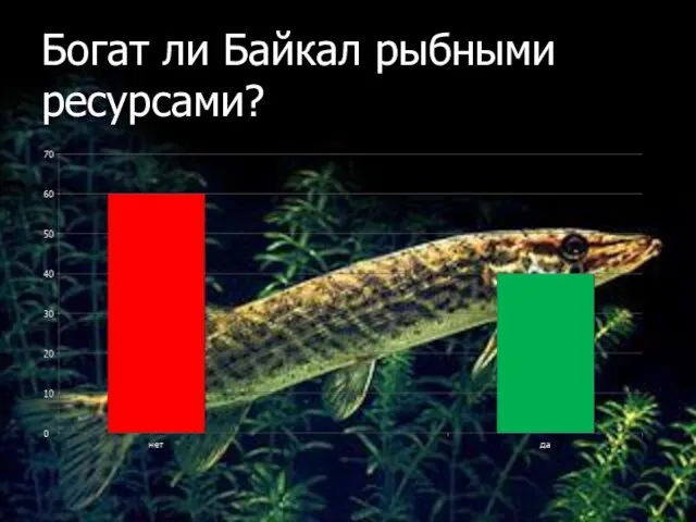 Богат ли Байкал рыбными ресурсами?
