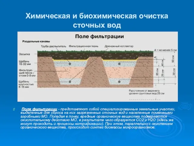 Химическая и биохимическая очистка сточных вод Поля фильтрации - представляют собой специализированные