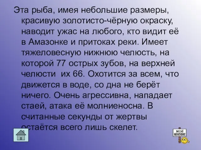 Эта рыба, имея небольшие размеры, красивую золотисто-чёрную окраску, наводит ужас на любого,