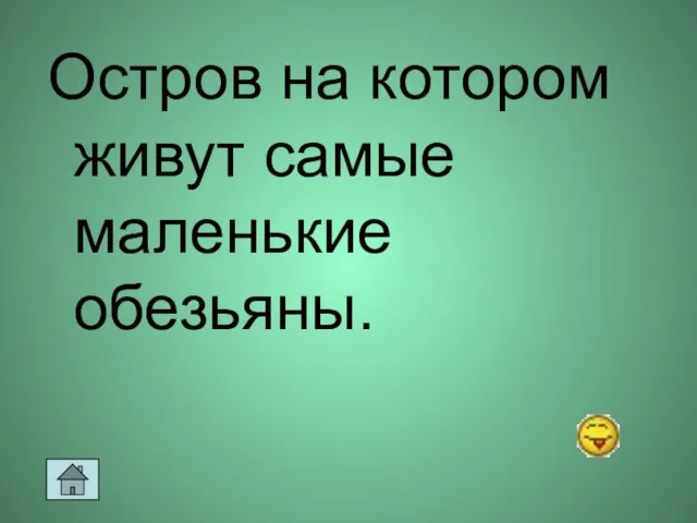 Остров на котором живут самые маленькие обезьяны.