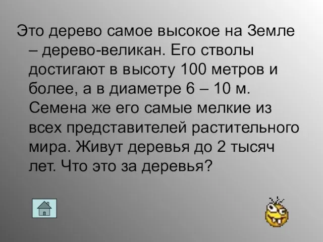 Это дерево самое высокое на Земле – дерево-великан. Его стволы достигают в