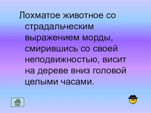 Лохматое животное со страдальческим выражением морды, смирившись со своей неподвижностью, висит на