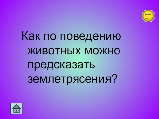 Как по поведению животных можно предсказать землетрясения?