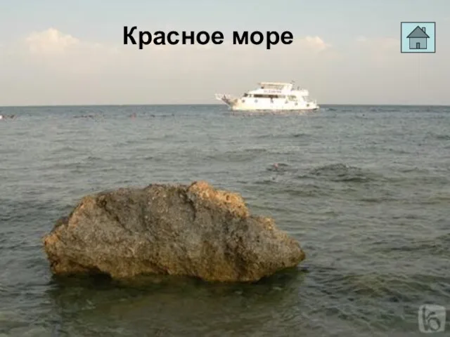 Красное море