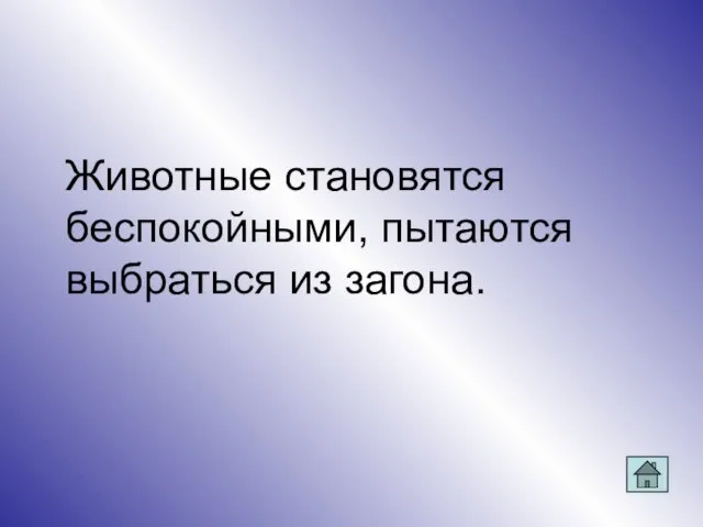 Животные становятся беспокойными, пытаются выбраться из загона.