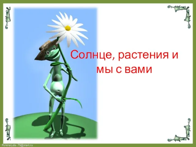 Солнце, растения и мы с вами