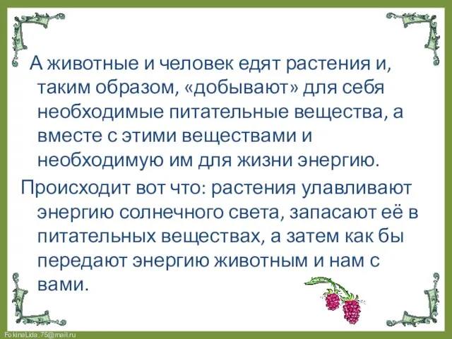 А животные и человек едят растения и, таким образом, «добывают» для себя