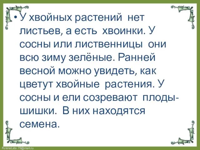 У хвойных растений нет листьев, а есть хвоинки. У сосны или лиственницы