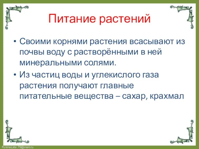 Своими корнями растения всасывают из почвы воду с растворёнными в ней минеральными