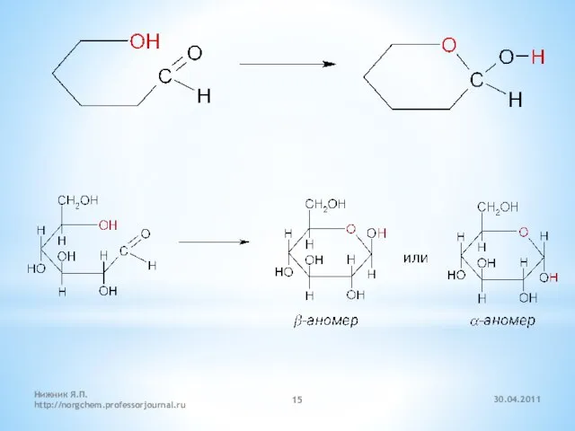 30.04.2011 Нижник Я.П. http://norgchem.professorjournal.ru