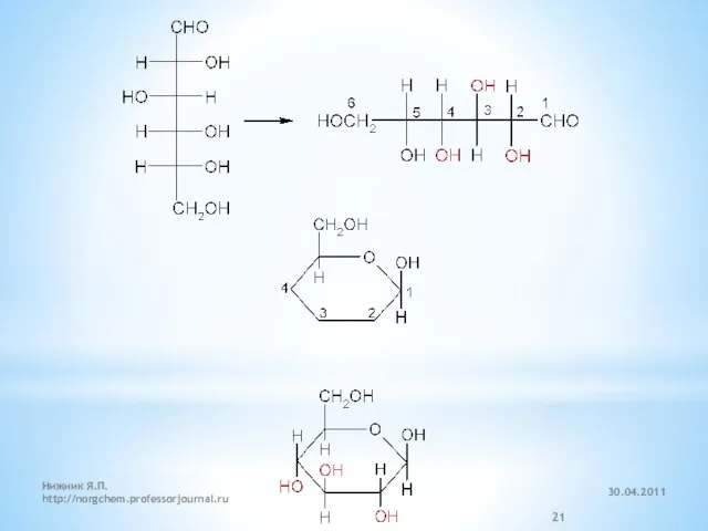 30.04.2011 Нижник Я.П. http://norgchem.professorjournal.ru