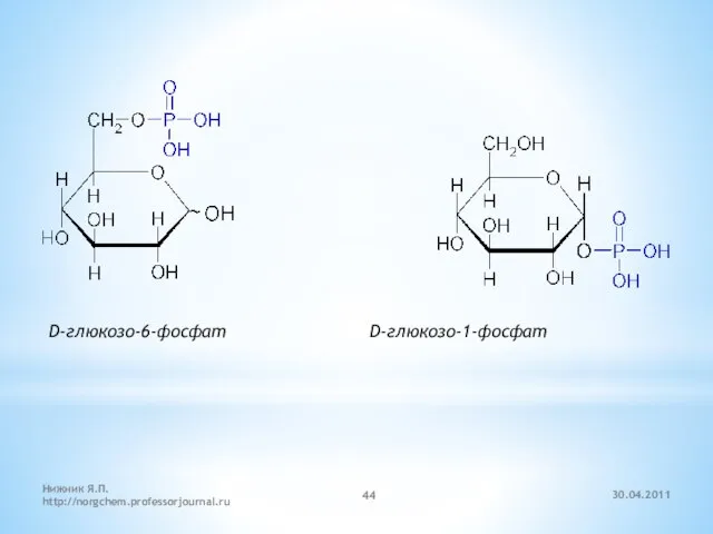 30.04.2011 Нижник Я.П. http://norgchem.professorjournal.ru D-глюкозо-6-фосфат D-глюкозо-1-фосфат