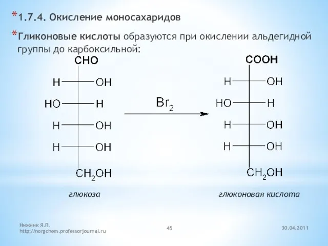 30.04.2011 Нижник Я.П. http://norgchem.professorjournal.ru 1.7.4. Окисление моносахаридов Гликоновые кислоты образуются при окислении