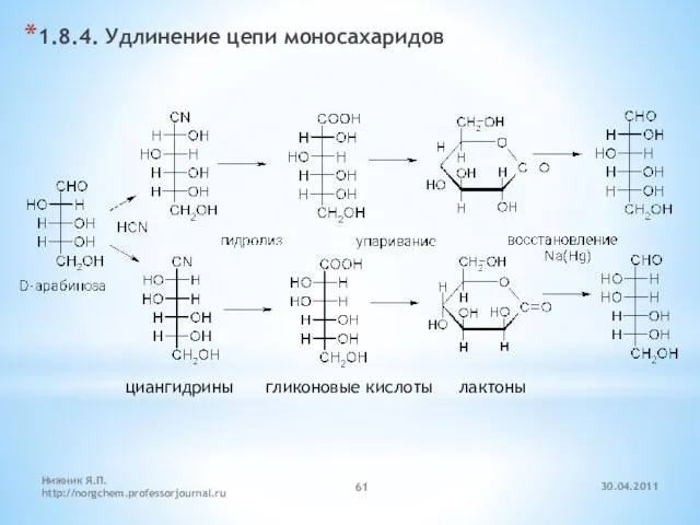 30.04.2011 Нижник Я.П. http://norgchem.professorjournal.ru 1.8.4. Удлинение цепи моносахаридов циангидрины гликоновые кислоты лактоны