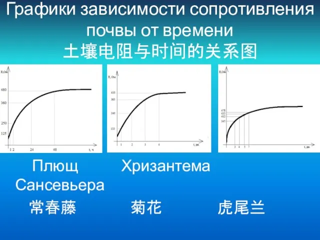 Графики зависимости сопротивления почвы от времени 土壤电阻与时间的关系图 Плющ Хризантема Сансевьера 常春藤 菊花 虎尾兰