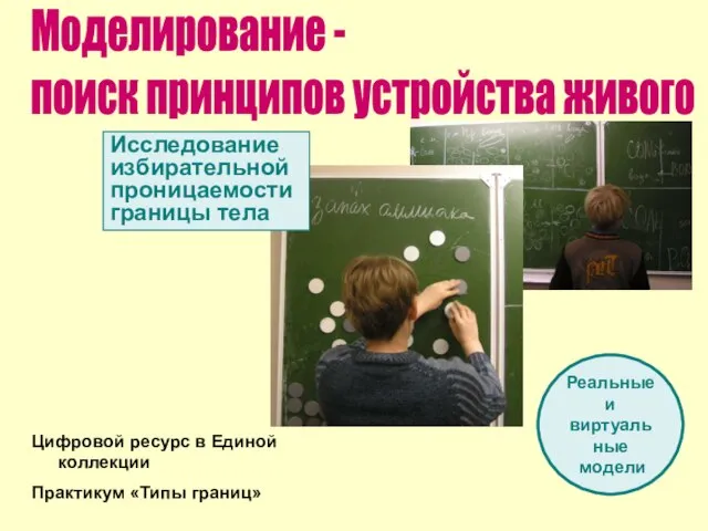 Моделирование - поиск принципов устройства живого Исследование избирательной проницаемости границы тела Реальные