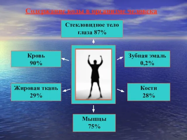 Стекловидное тело глаза 87% Кровь 90% Жировая ткань 29% Зубная эмаль 0,2%