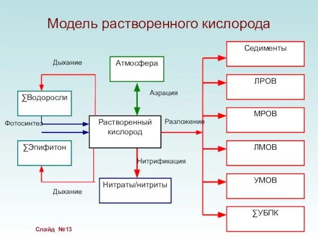 Модель растворенного кислорода