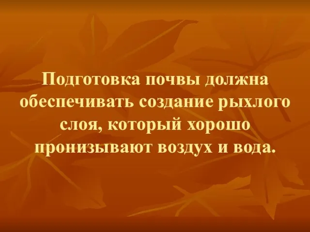 Подготовка почвы должна обеспечивать создание рыхлого слоя, который хорошо пронизывают воздух и вода.