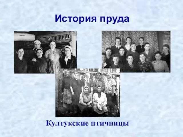 История пруда Култукские птичницы