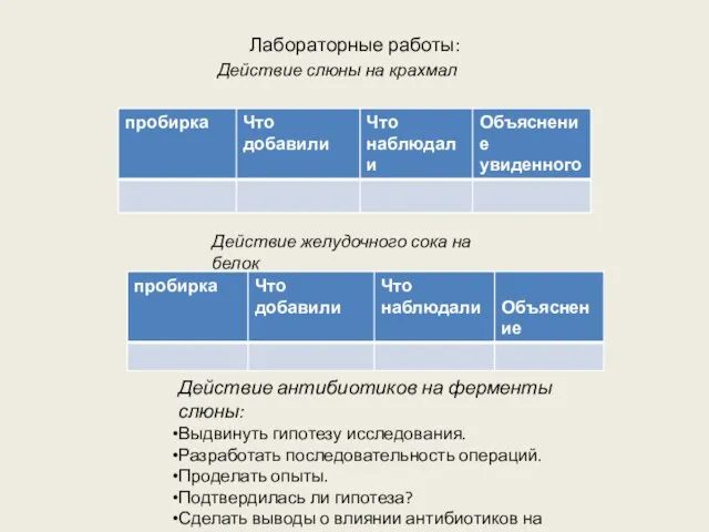 Лабораторные работы: Действие слюны на крахмал Действие желудочного сока на белок Действие