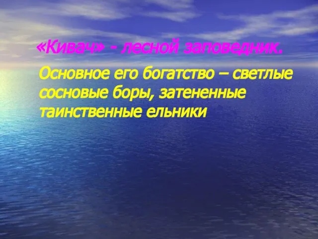 «Кивач» - лесной заповедник. Основное его богатство – светлые сосновые боры, затененные таинственные ельники