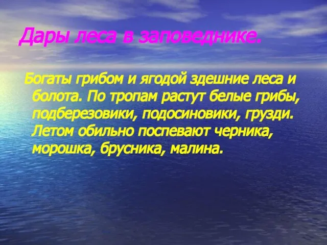 Дары леса в заповеднике. Богаты грибом и ягодой здешние леса и болота.