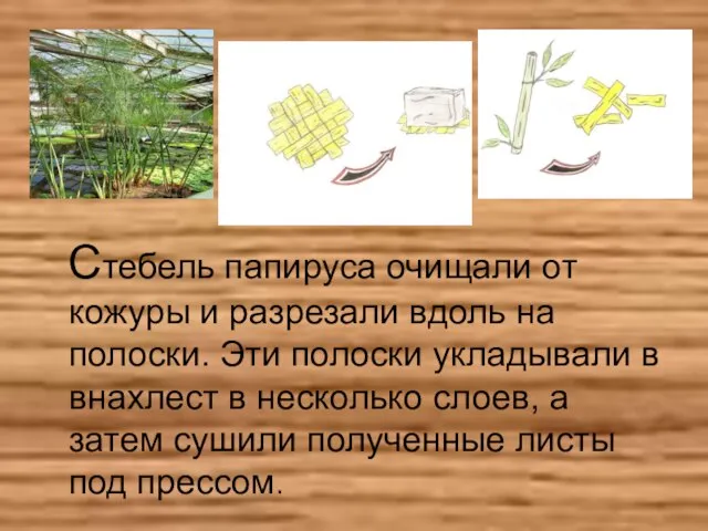 Стебель папируса очищали от кожуры и разрезали вдоль на полоски. Эти полоски