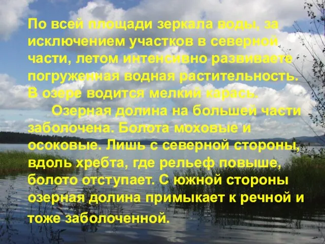 По всей площади зеркала воды, за исключением участков в северной части, летом