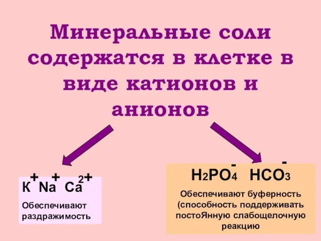 Минеральные соли содержатся в клетке в виде катионов и анионов К Na