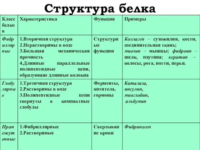 Структура белка