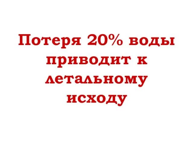 Потеря 20% воды приводит к летальному исходу