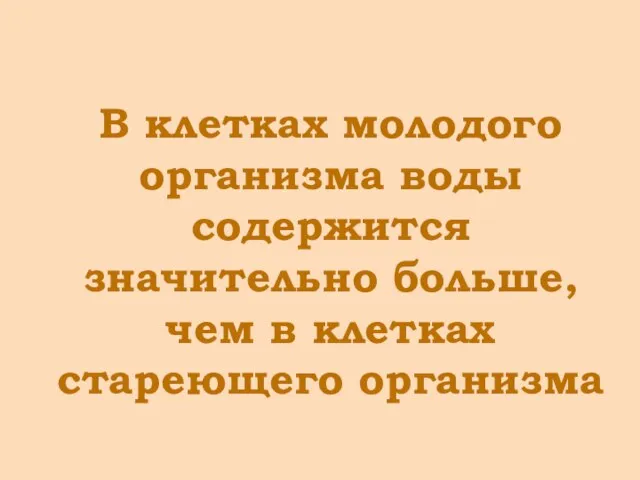 В клетках молодого организма воды содержится значительно больше, чем в клетках стареющего организма