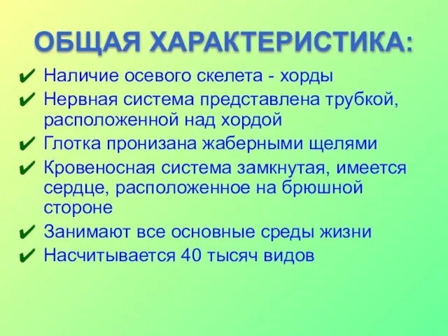 ОБЩАЯ ХАРАКТЕРИСТИКА: Наличие осевого скелета - хорды Нервная система представлена трубкой, расположенной