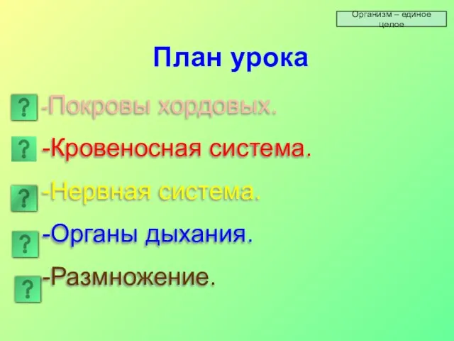 План урока -Покровы хордовых. -Кровеносная система. -Нервная система. -Органы дыхания. -Размножение. Организм – единое целое