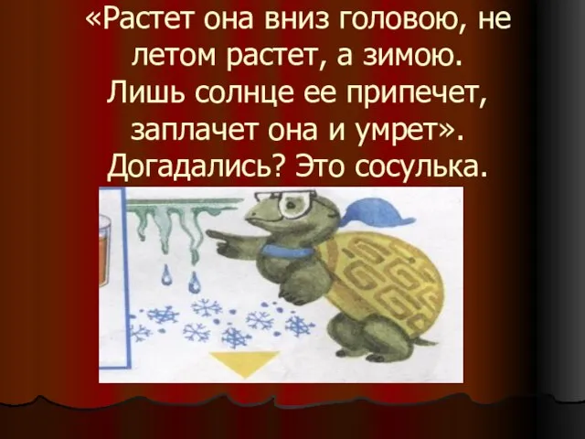 «Растет она вниз головою, не летом растет, а зимою. Лишь солнце ее