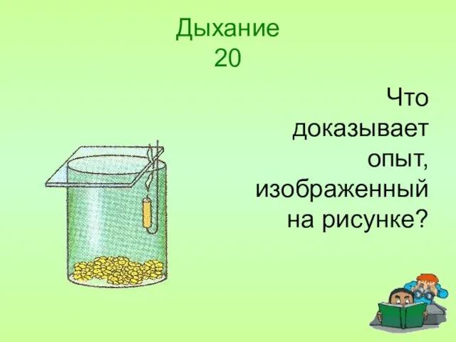 Дыхание 20 Что доказывает опыт, изображенный на рисунке?