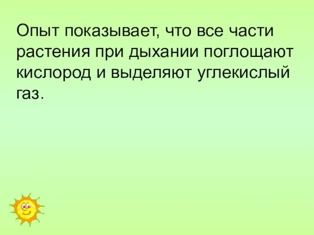 Опыт показывает, что все части растения при дыхании поглощают кислород и выделяют углекислый газ.