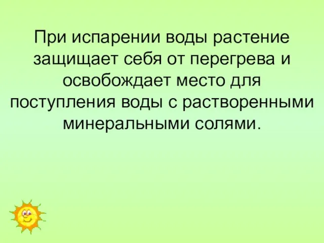 При испарении воды растение защищает себя от перегрева и освобождает место для