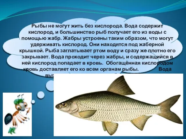 Рыбы не могут жить без кислорода. Вода содержит кислород, и большинство рыб