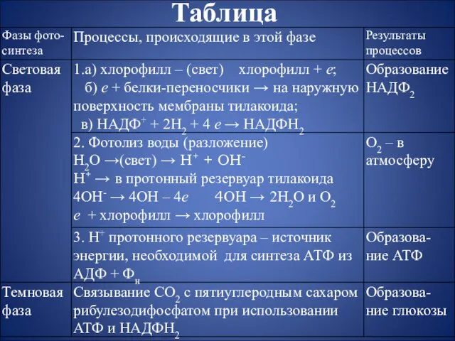 Таблица