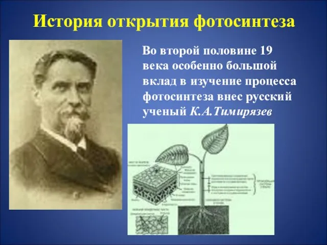 История открытия фотосинтеза Во второй половине 19 века особенно большой вклад в