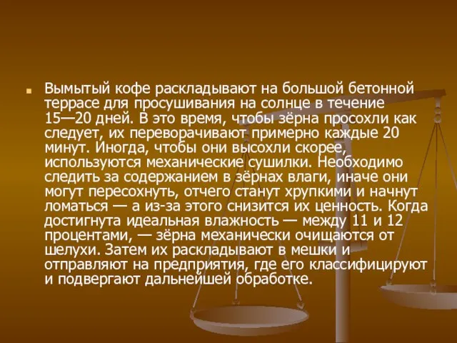 Вымытый кофе раскладывают на большой бетонной террасе для просушивания на солнце в