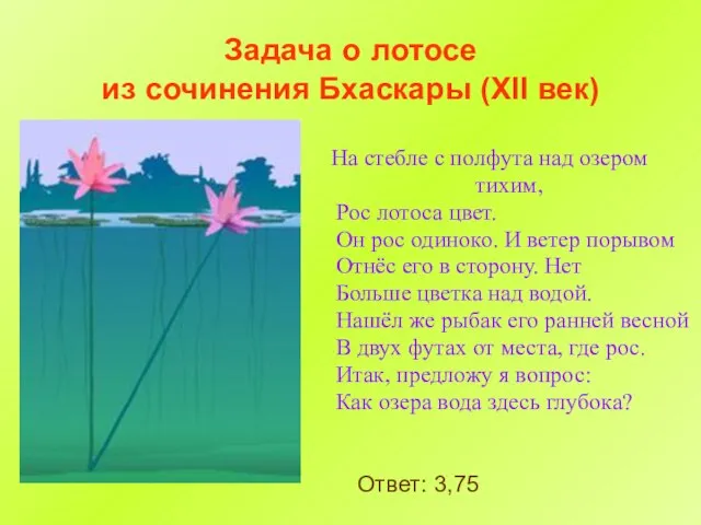 Задача о лотосе из сочинения Бхаскары (XII век) На стебле с полфута