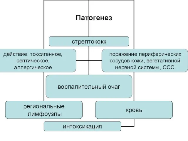 Патогенез