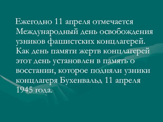 Ежегодно 11 апреля отмечается Международный день освобождения узников фашистских концлагерей. Как день