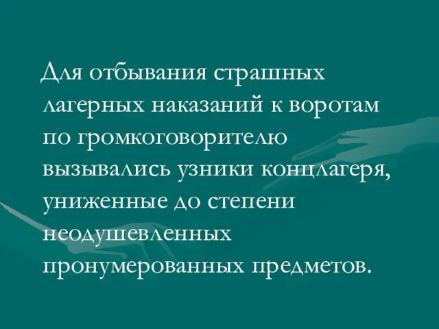 Для отбывания страшных лагерных наказаний к воротам по громкоговорителю вызывались узники концлагеря,