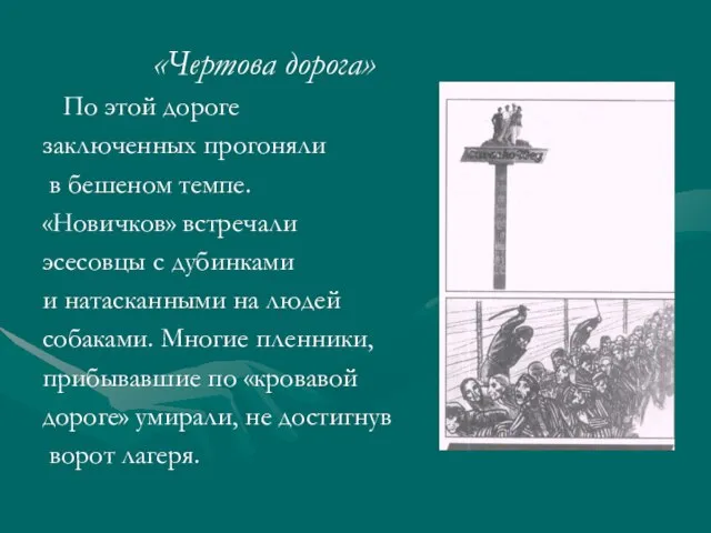 «Чертова дорога» По этой дороге заключенных прогоняли в бешеном темпе. «Новичков» встречали