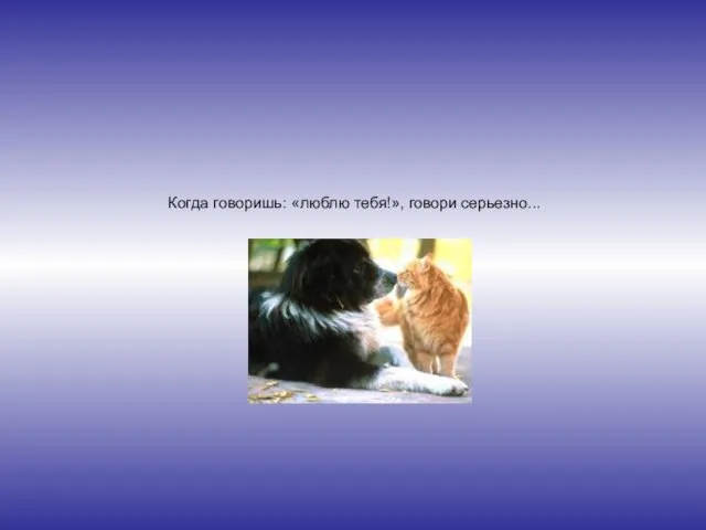 Когда говоришь: «люблю тебя!», говори серьезно...